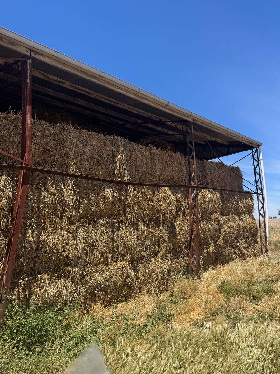 Batch 4990788000209399001 Image