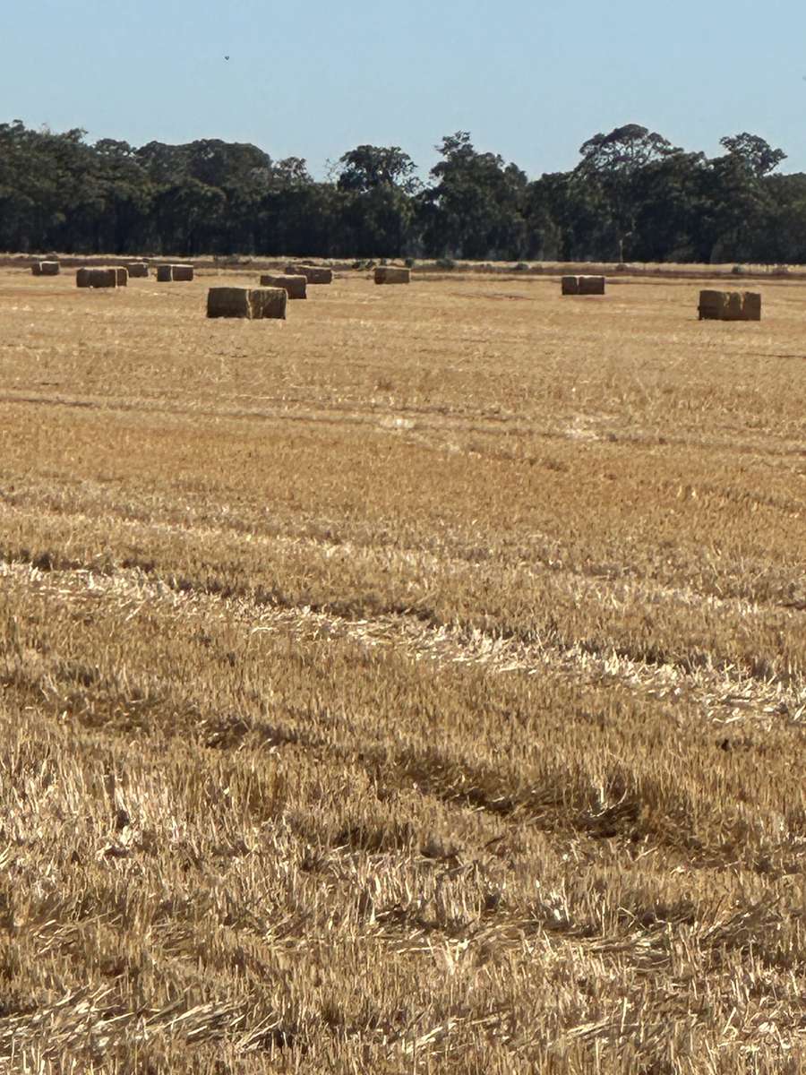 Batch 4990788000213009001 Image