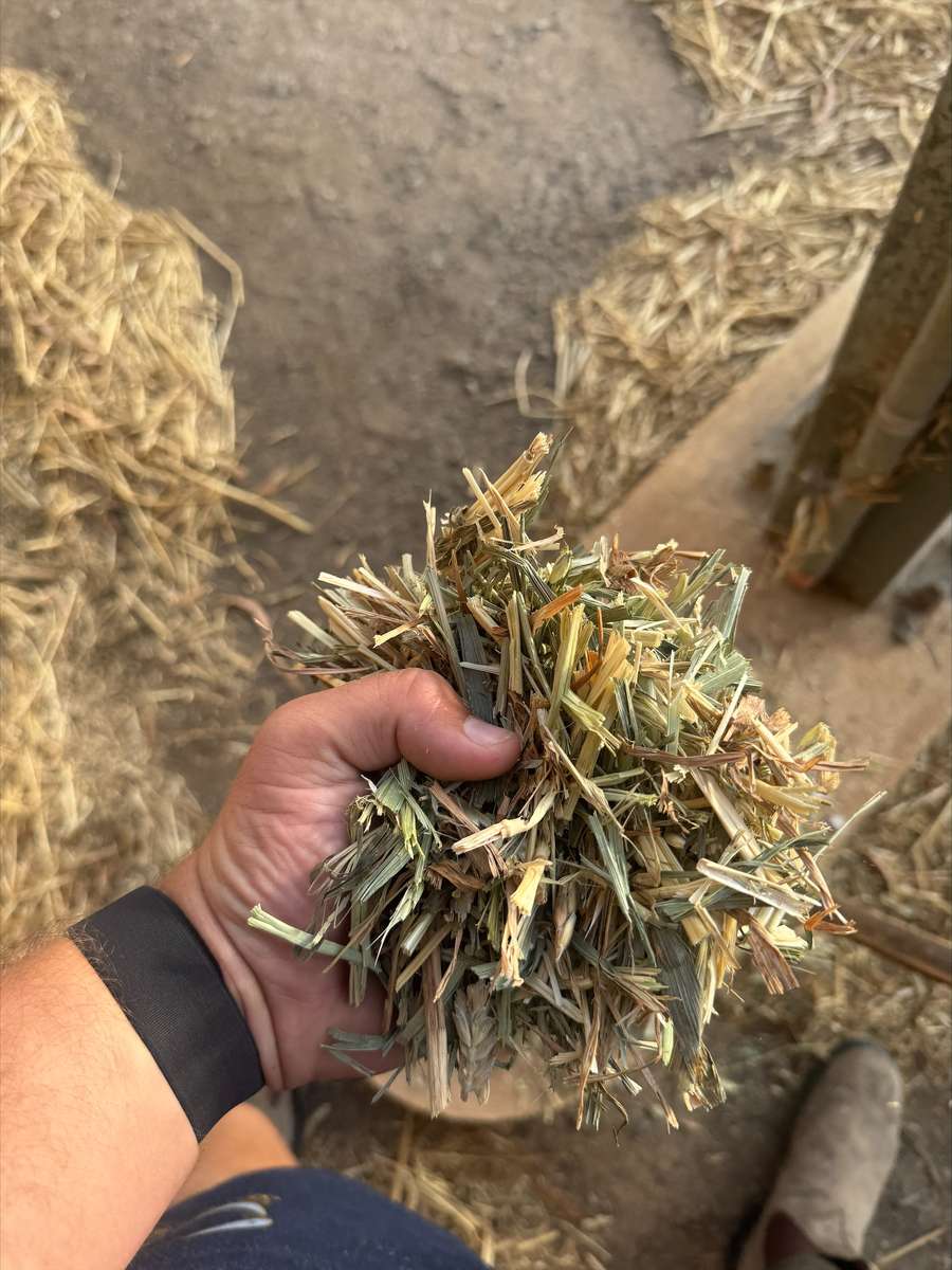 Batch 4990788000209847001 Image