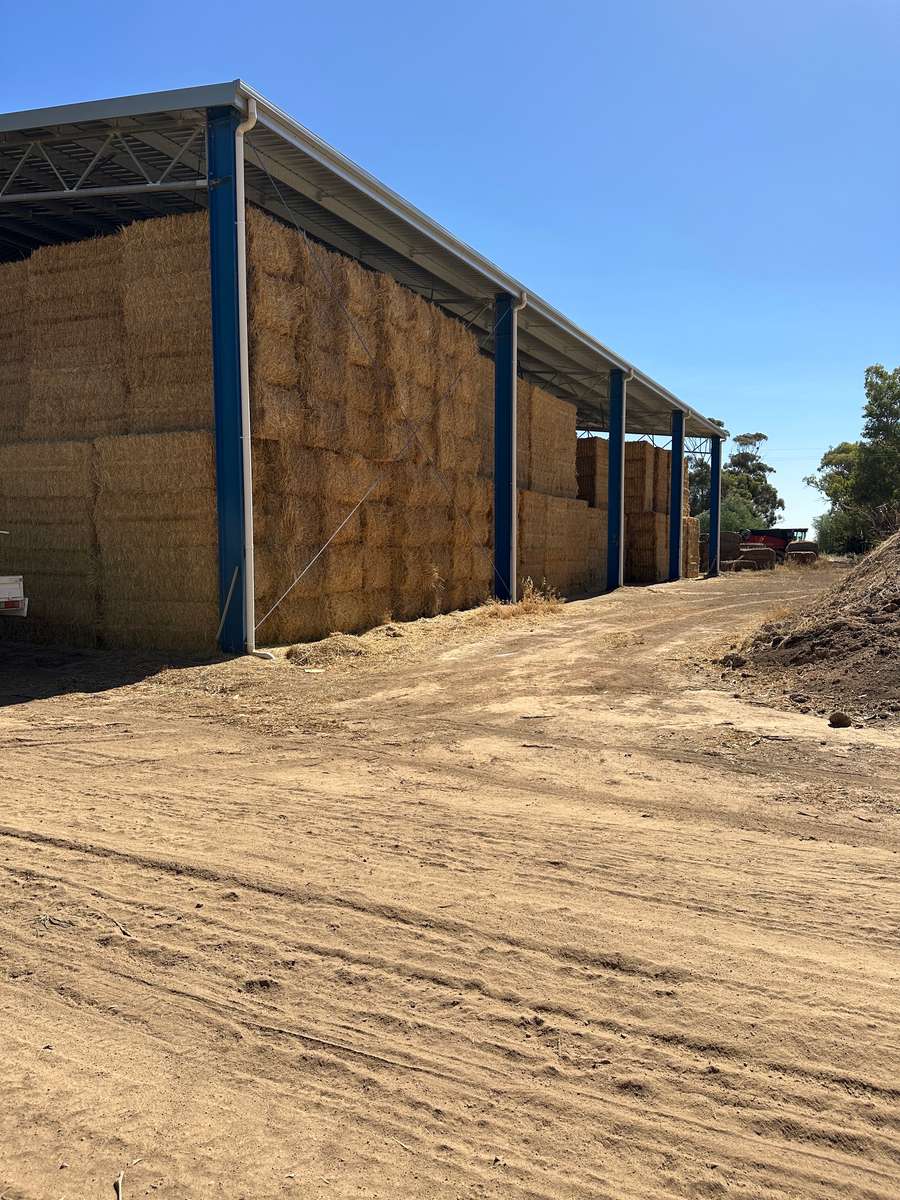 Batch 4990788000212811042 Image