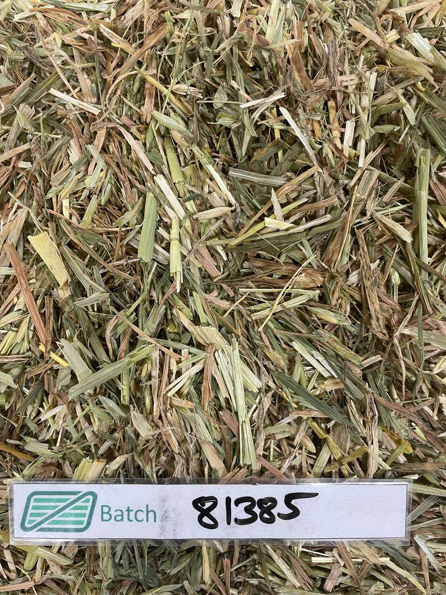 Batch 4990788000211194001 Image