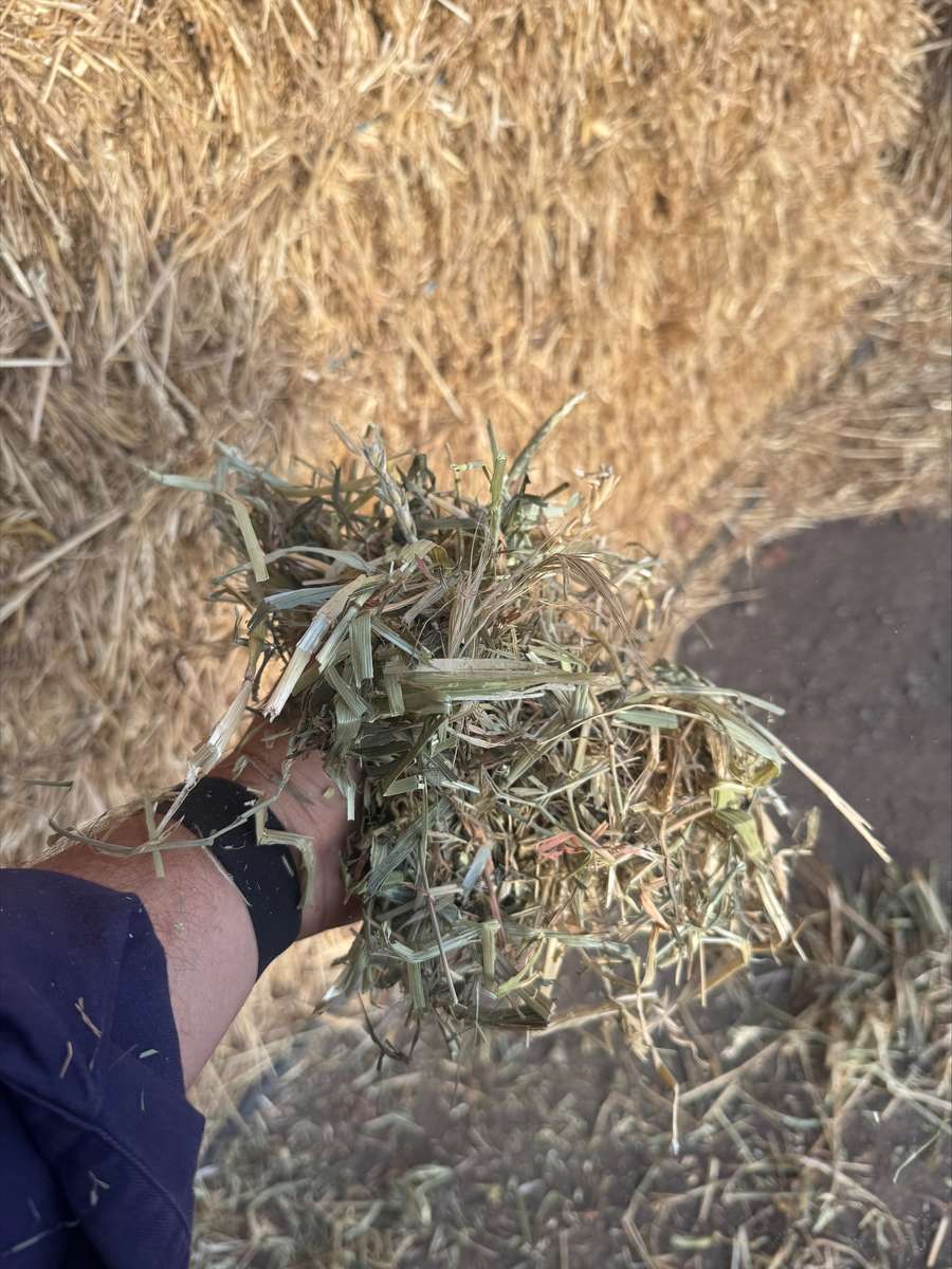 Batch 4990788000209847001 Image