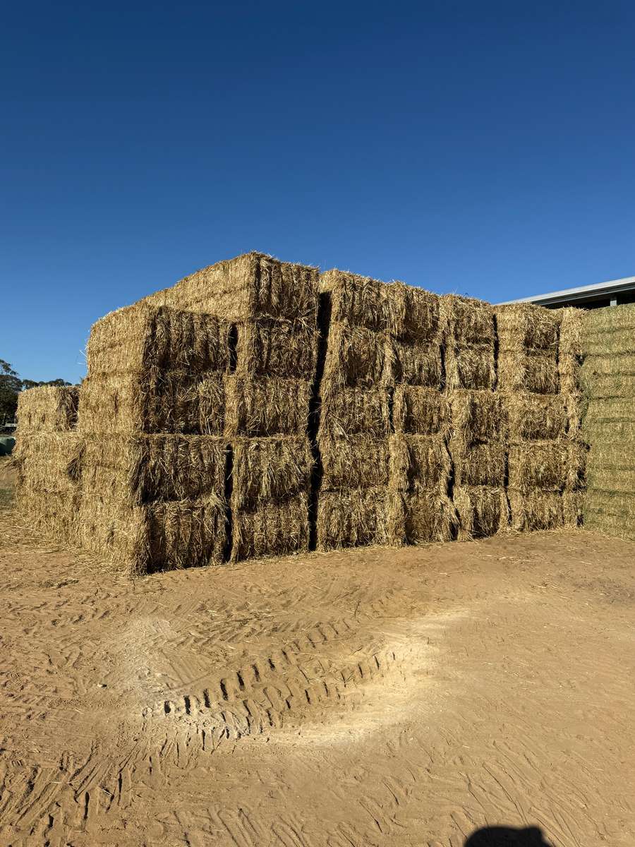 Batch 4990788000209520027 Image