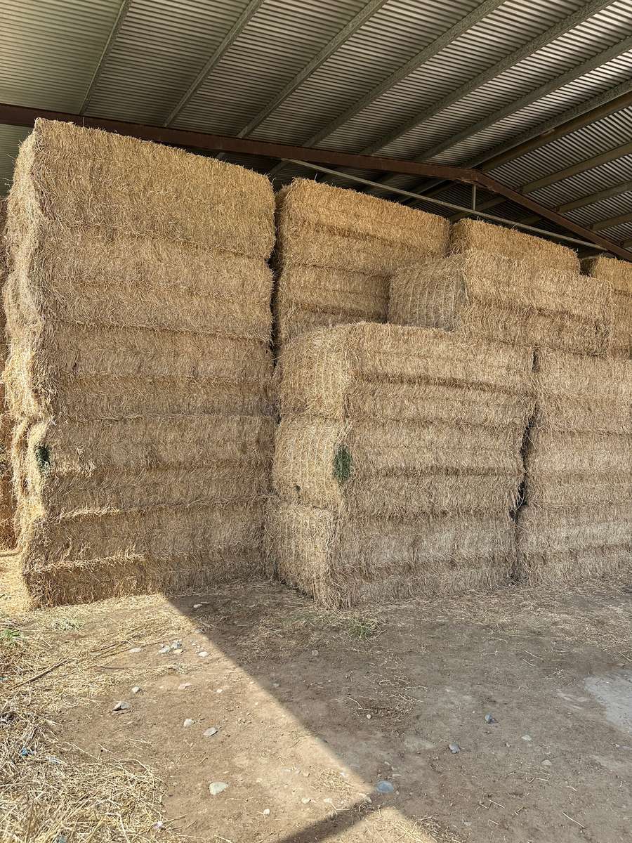 Batch 4990788000210623027 Image