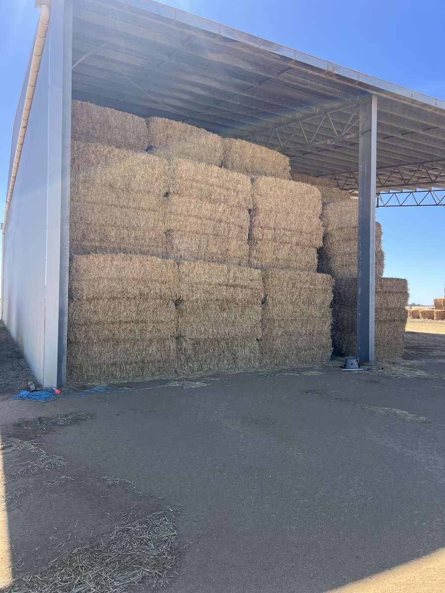 Batch 4990788000205197987 Image