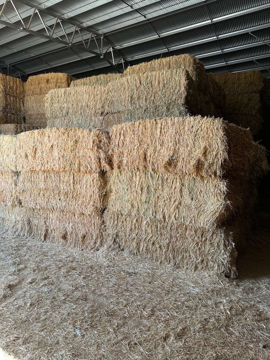 Batch 4990788000213130020 Image