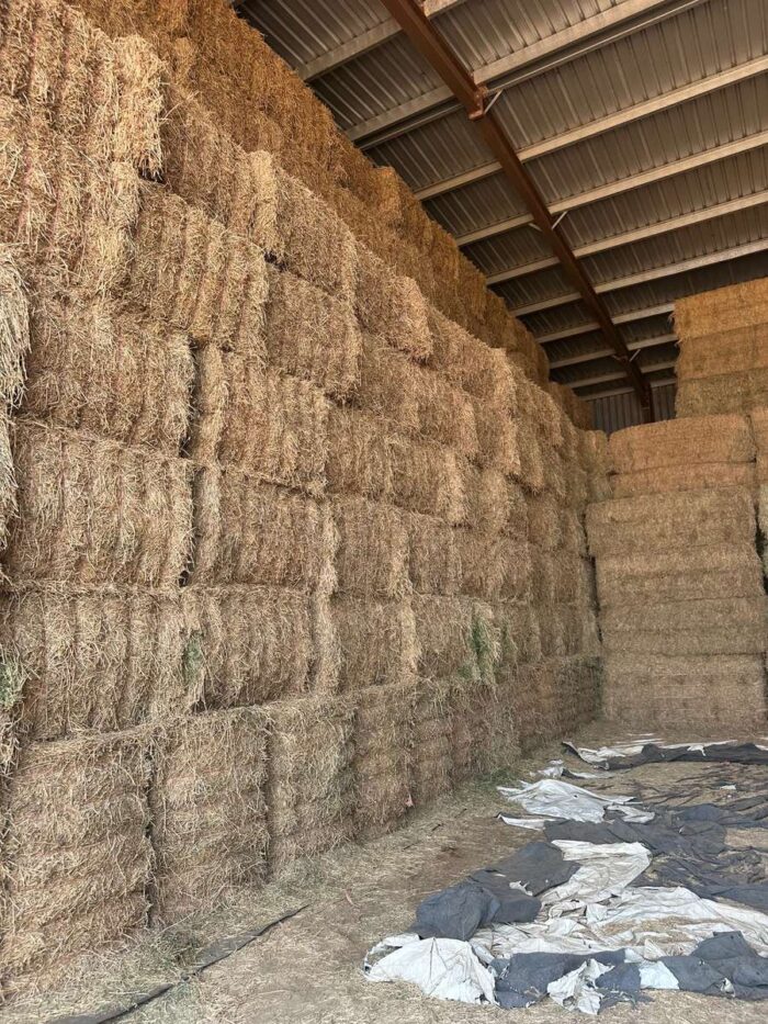 Batch 81414 Protein Hay – Fodder Link Website