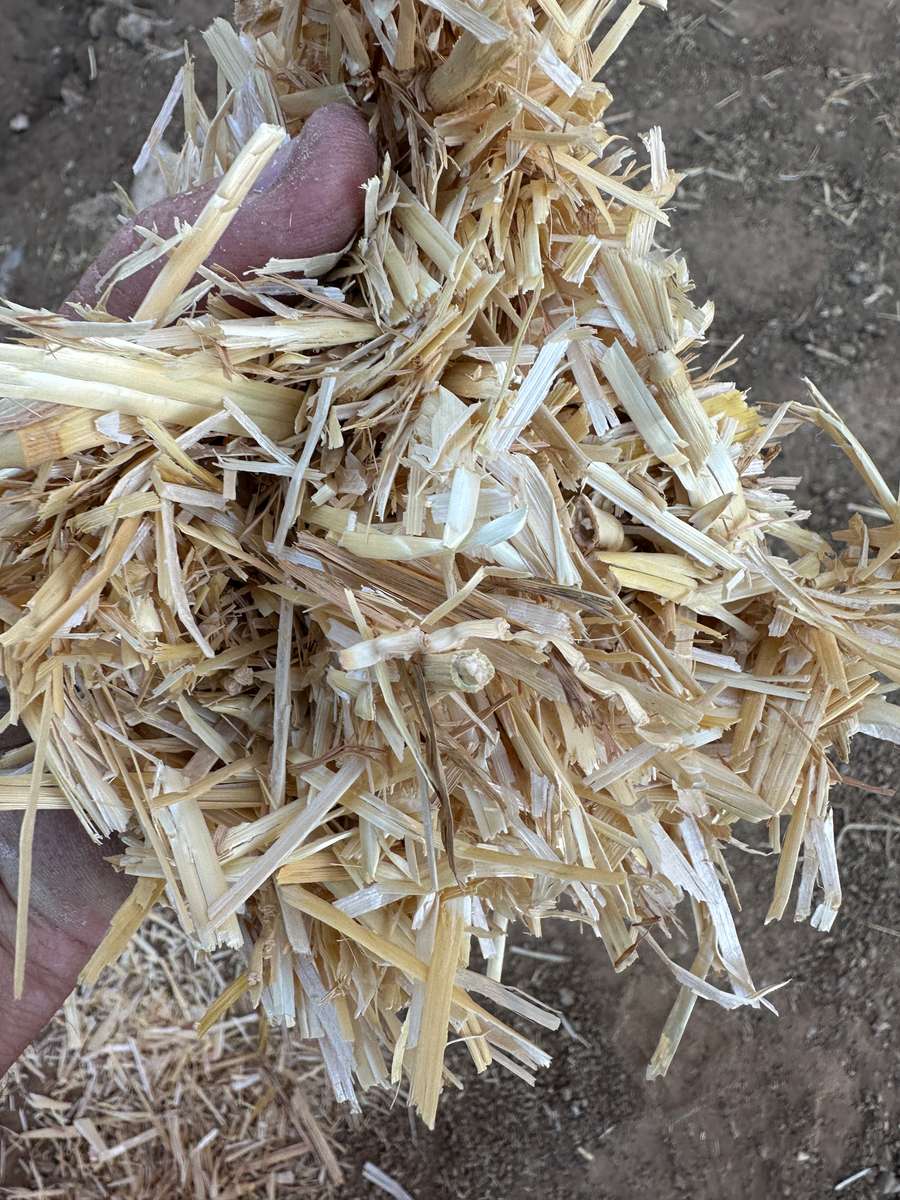 Batch 4990788000212936001 Image