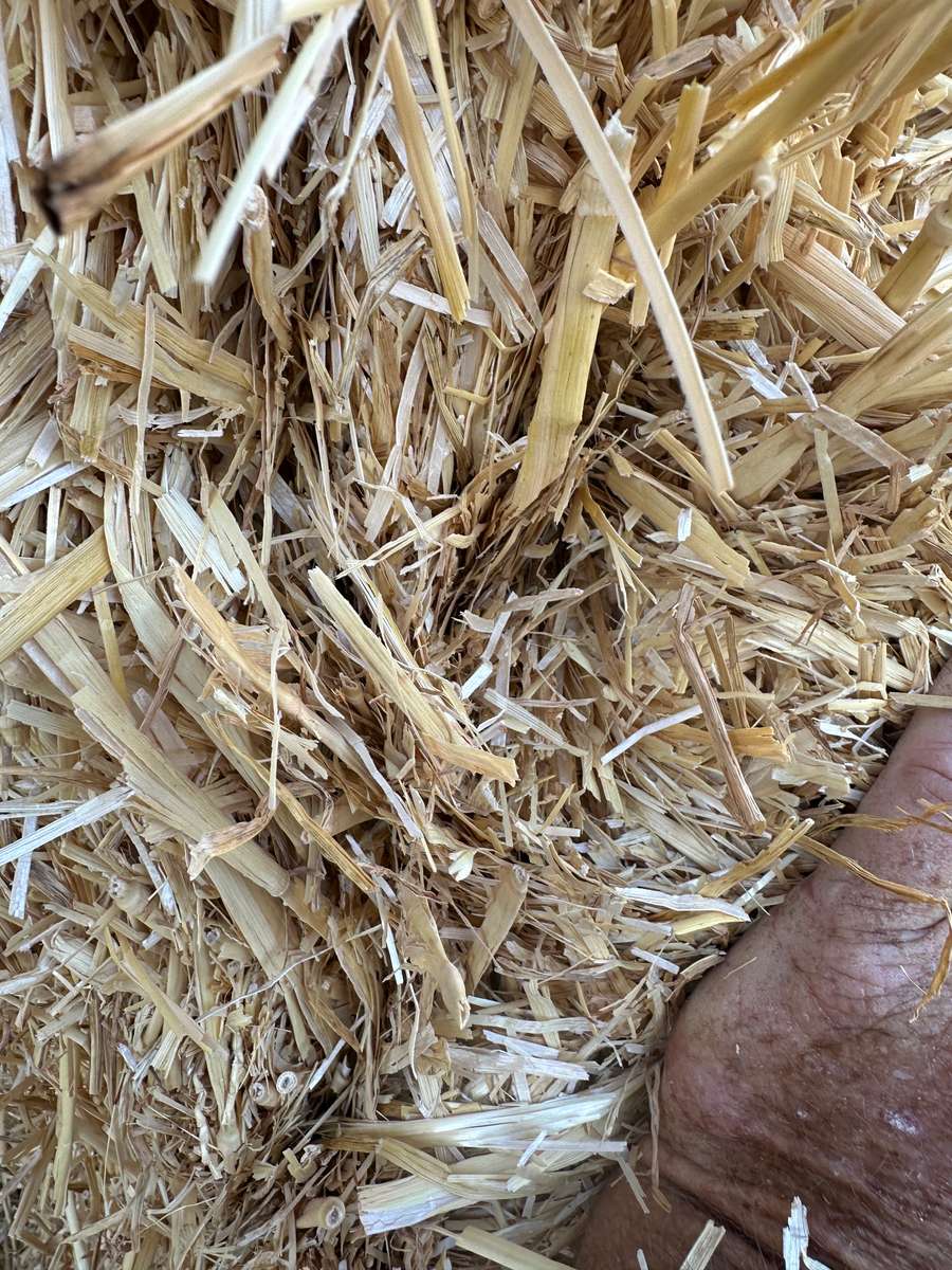 Batch 4990788000212936001 Image