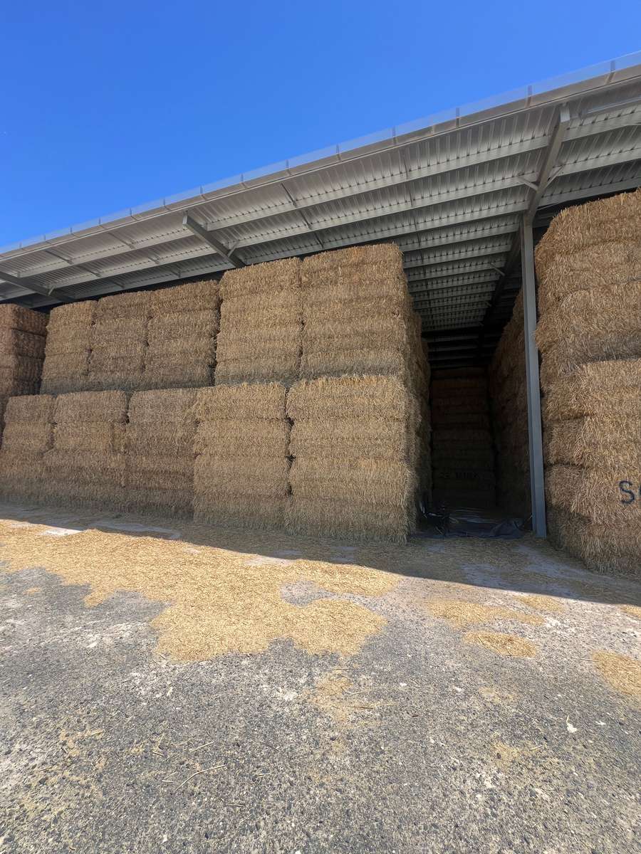 Batch 4990788000210958031 Image