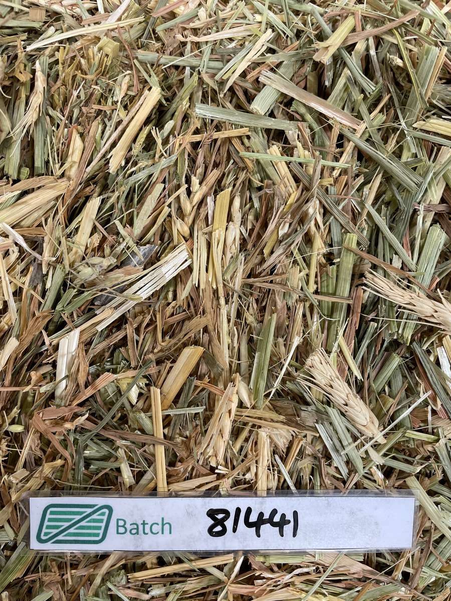 Batch 4990788000212811042 Image