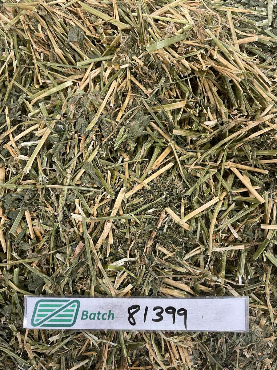 Batch 4990788000211505052 Image