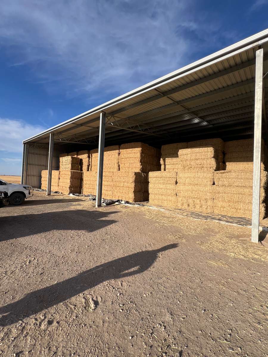 Batch 4990788000211392014 Image