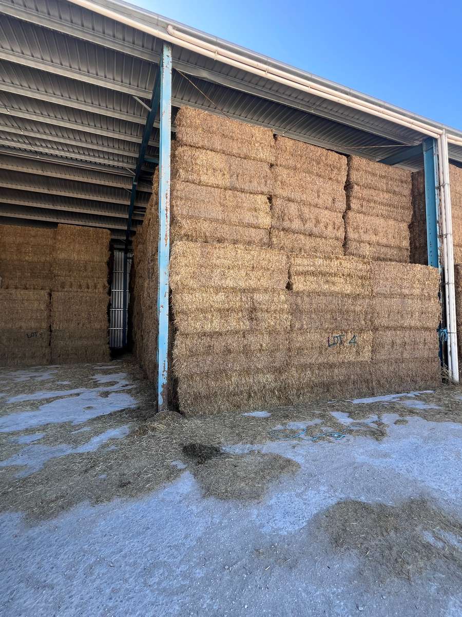 Batch 4990788000211008001 Image