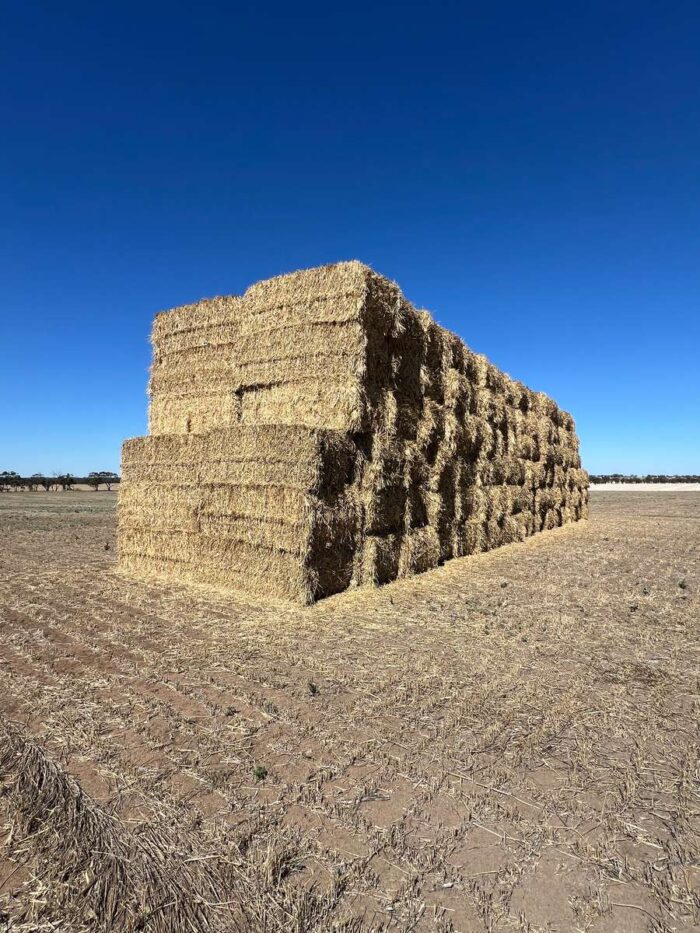 Batch 81365 Cereal Hay – Fodder Link Website