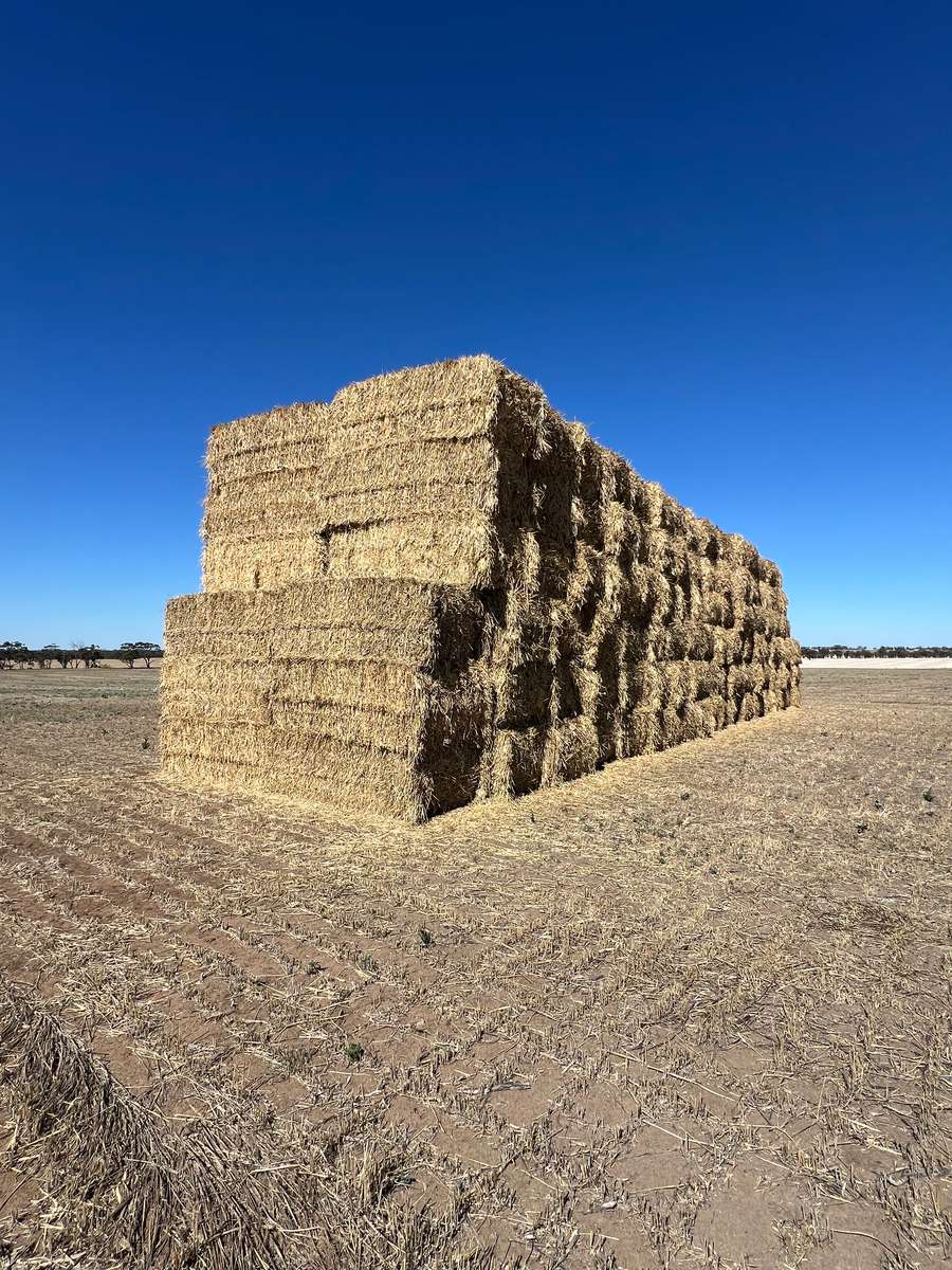 Batch 4990788000211026001 Image