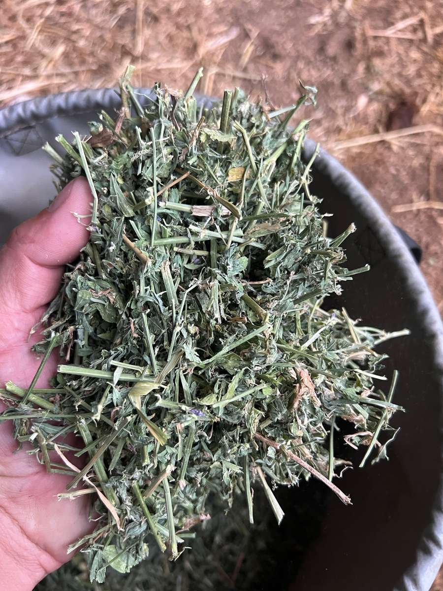 Batch 4990788000208458001 Image