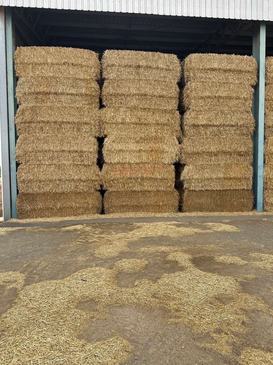 Batch 4990788000207853732 Image