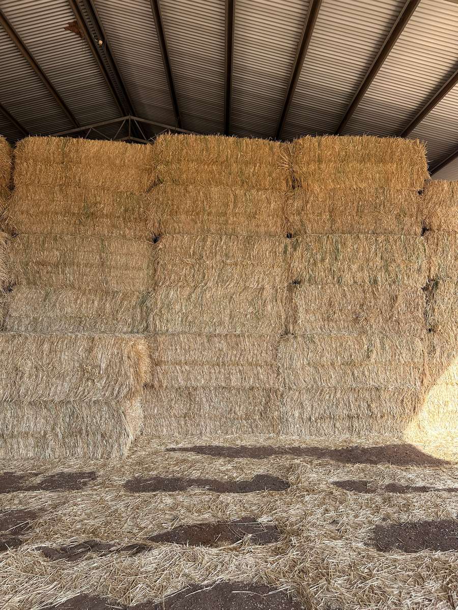 Batch 4990788000212288001 Image