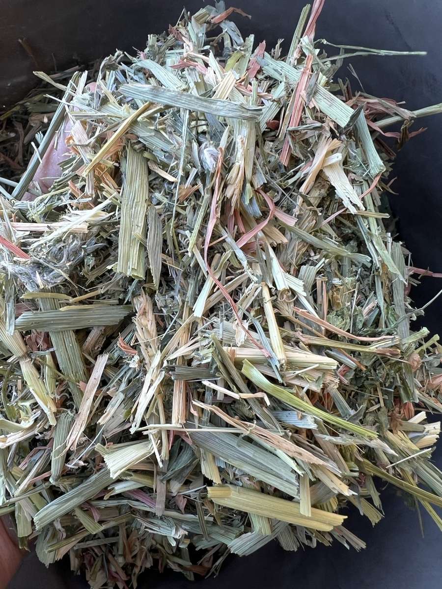 Batch 4990788000205197987 Image