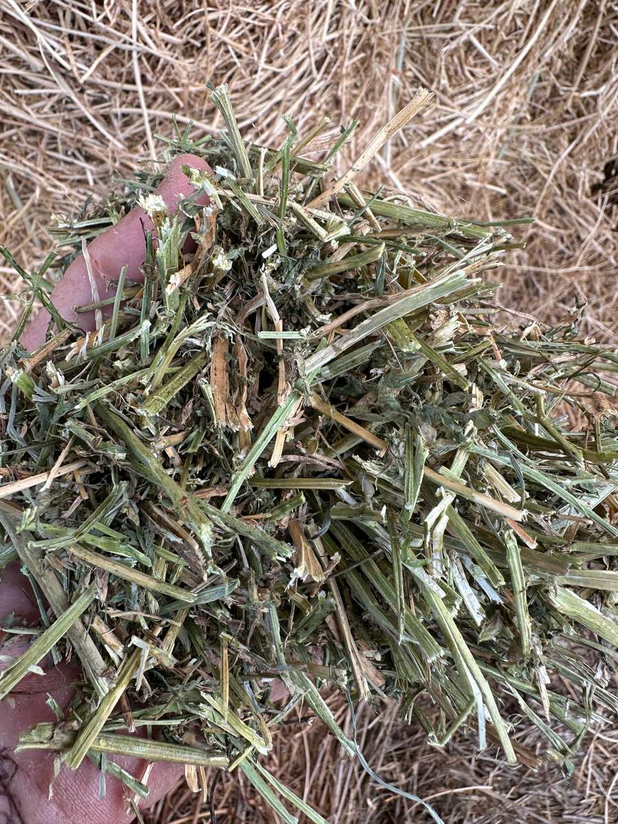 Batch 4990788000210623027 Image