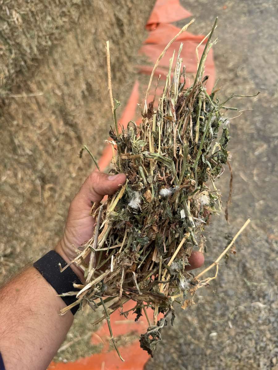 Batch 4990788000209728001 Image