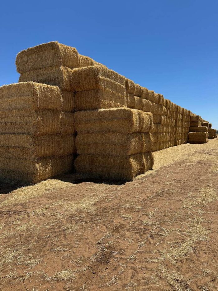Batch 81439 Cereal Straw – Fodder Link Website