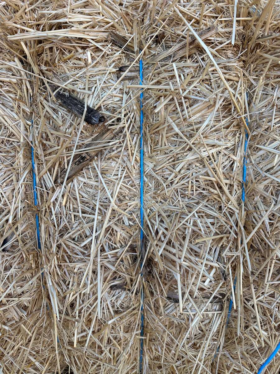 Batch 4990788000213035001 Image