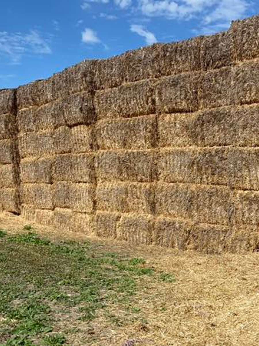 Batch 4990788000181090880 Image