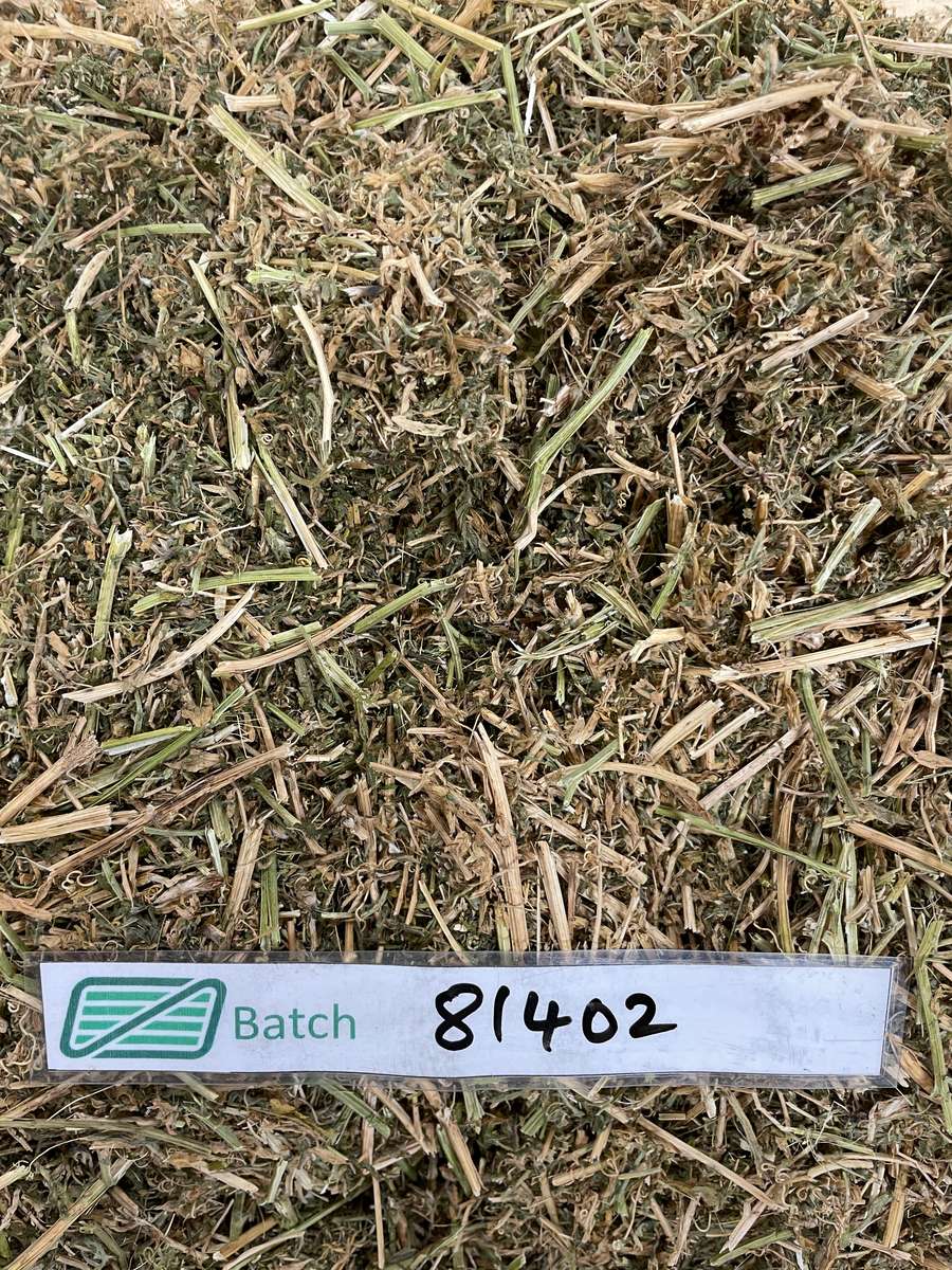 Batch 4990788000211765001 Image