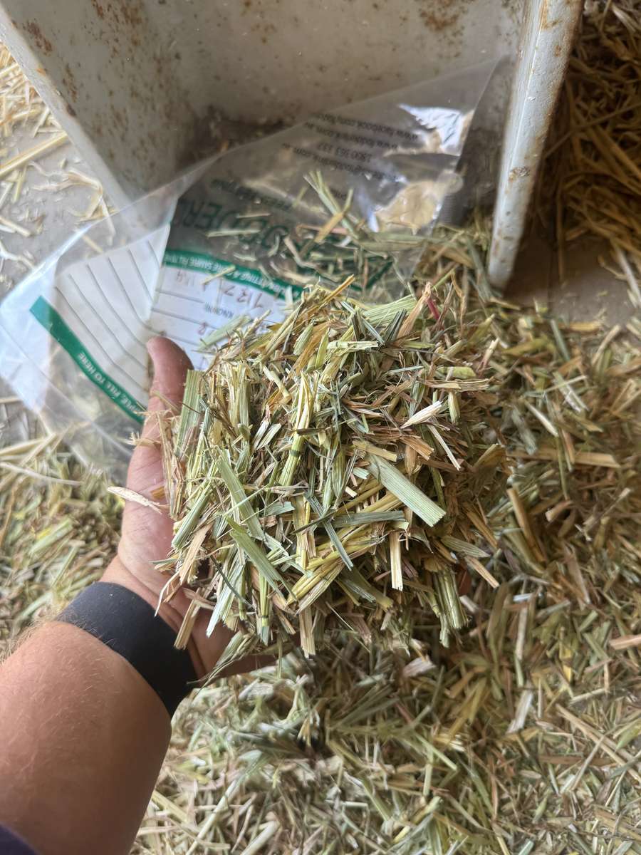 Batch 4990788000210097023 Image