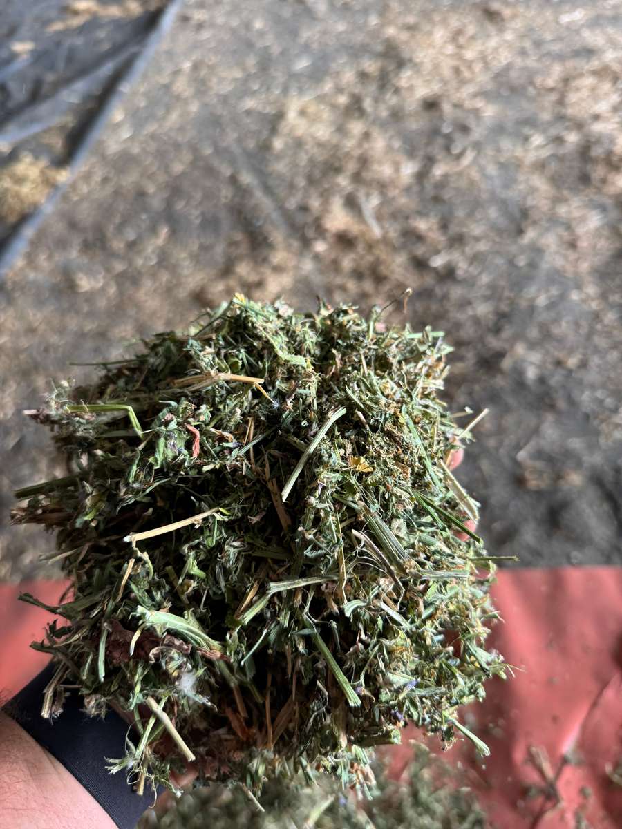 Batch 4990788000209728001 Image