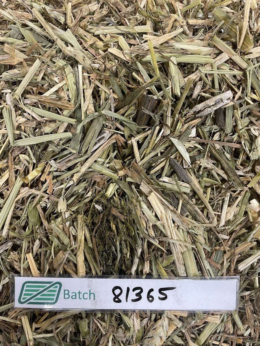 Batch 4990788000211026001 Image