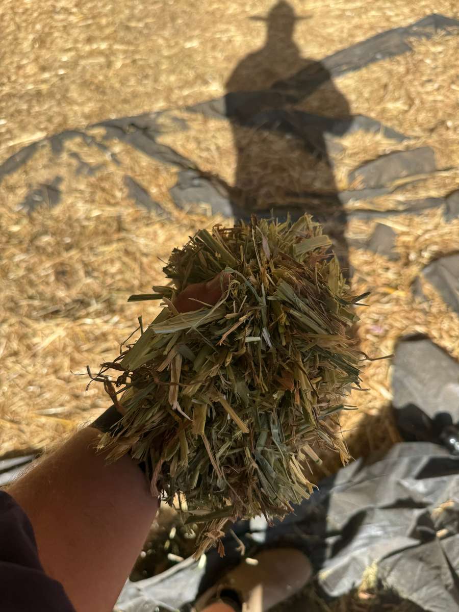 Batch 4990788000210038001 Image