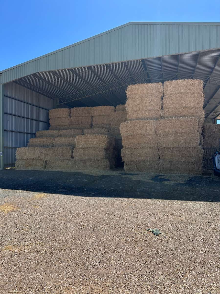 Batch 4990788000212725016 Image