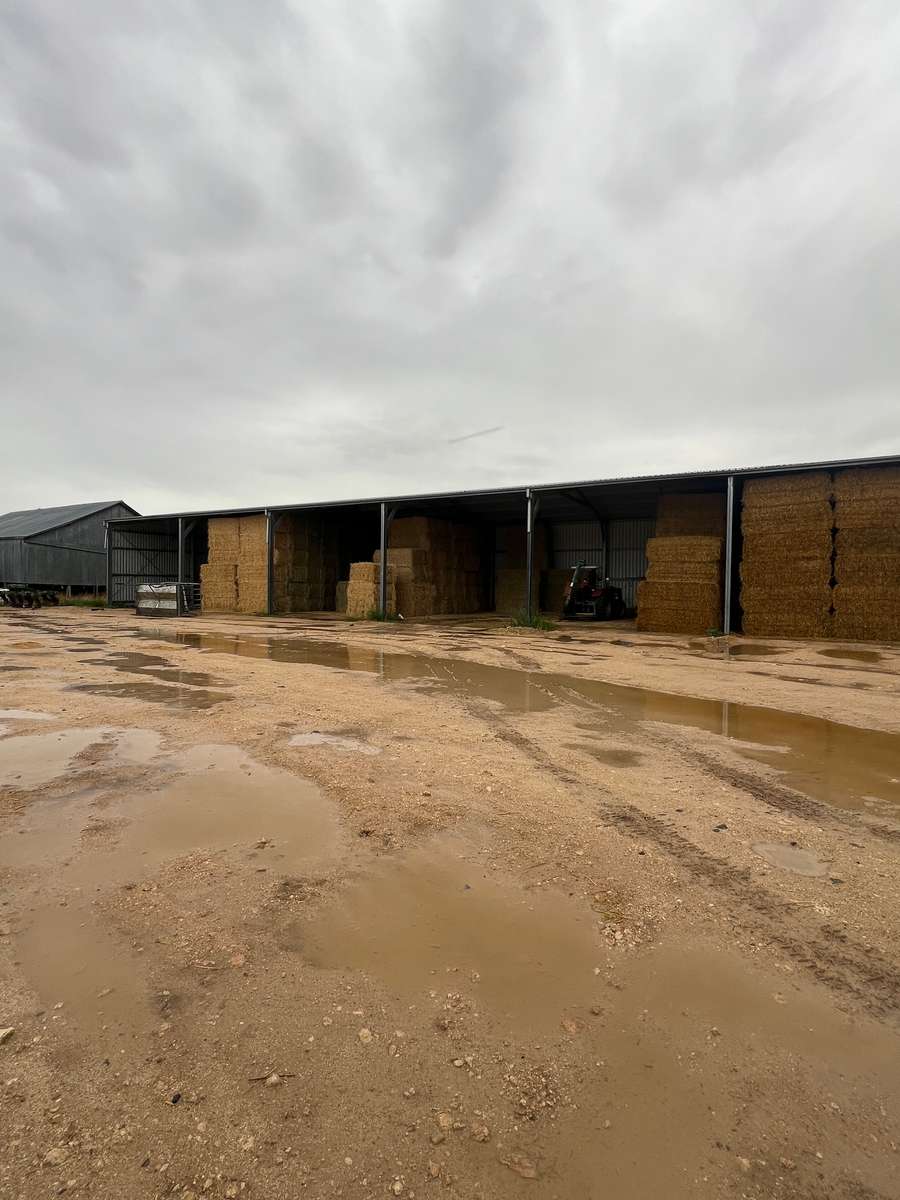 Batch 4990788000208458001 Image