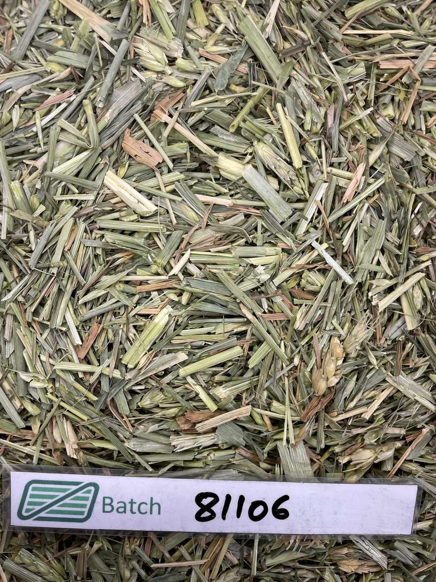 Batch 4990788000201487075 Image