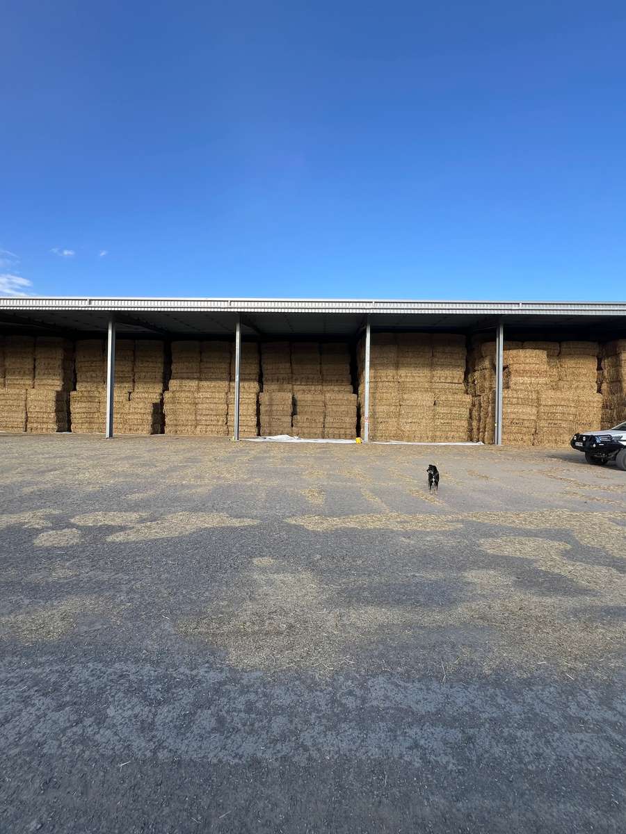 Batch 4990788000211141014 Image