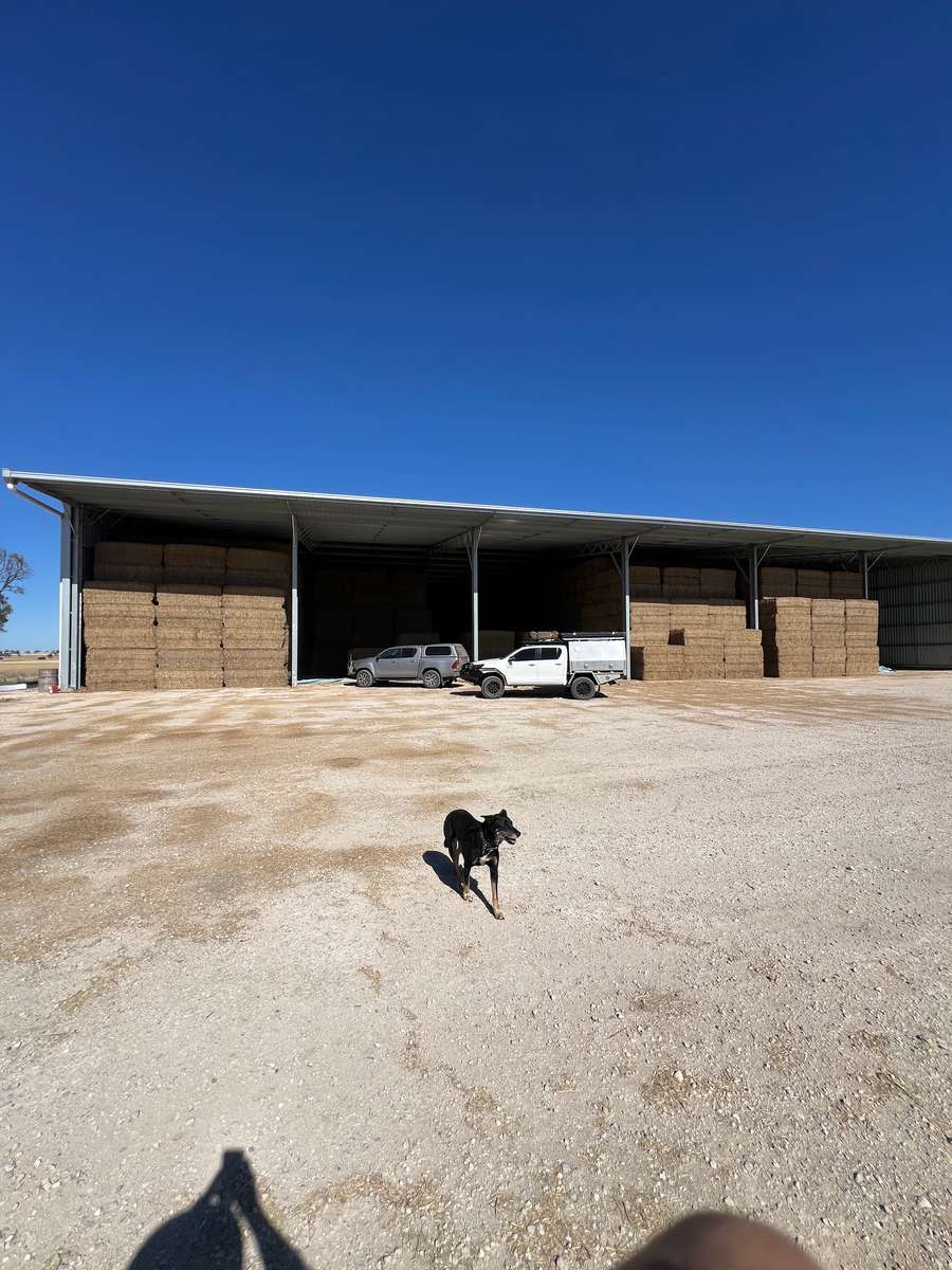 Batch 4990788000211014027 Image