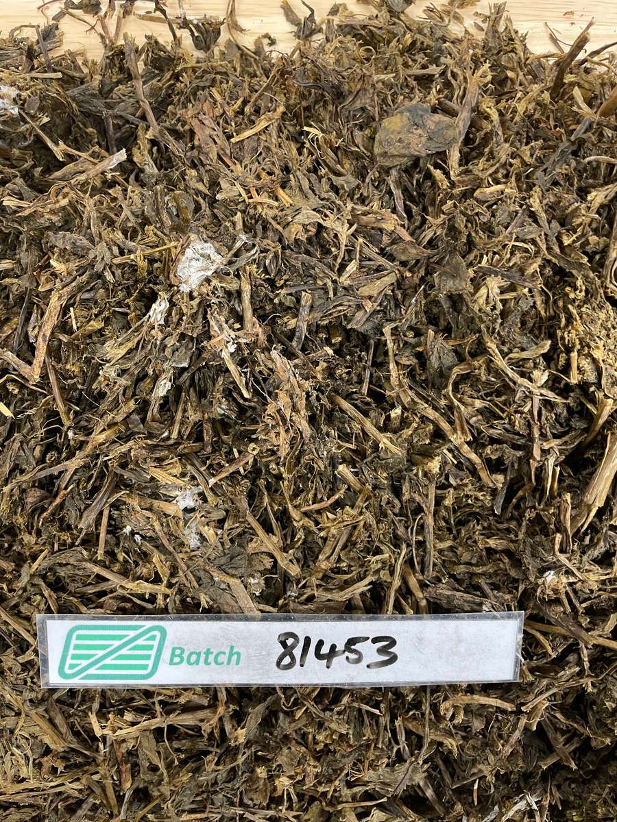 Batch 4990788000213156001 Image