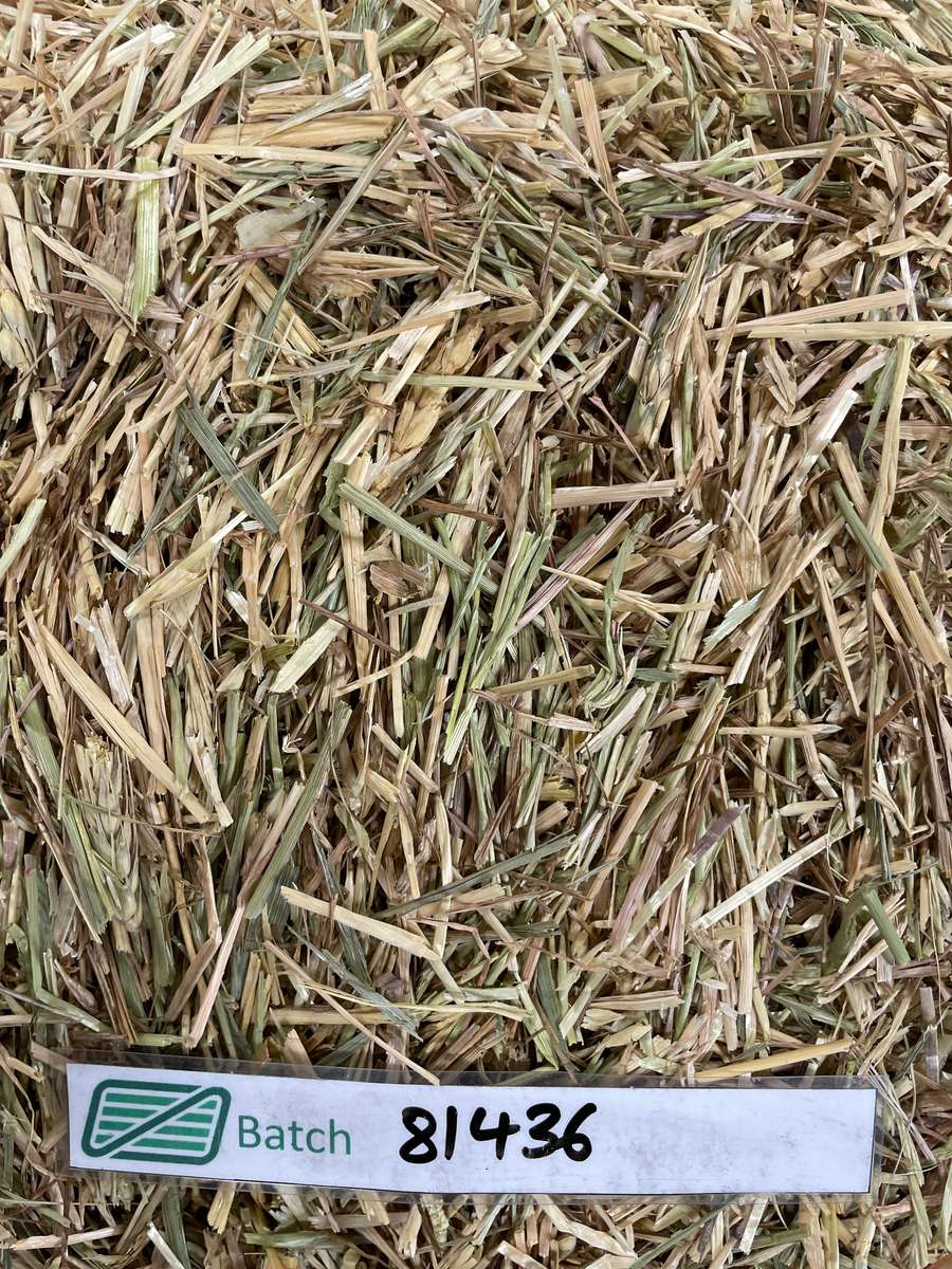 Batch 4990788000212741002 Image