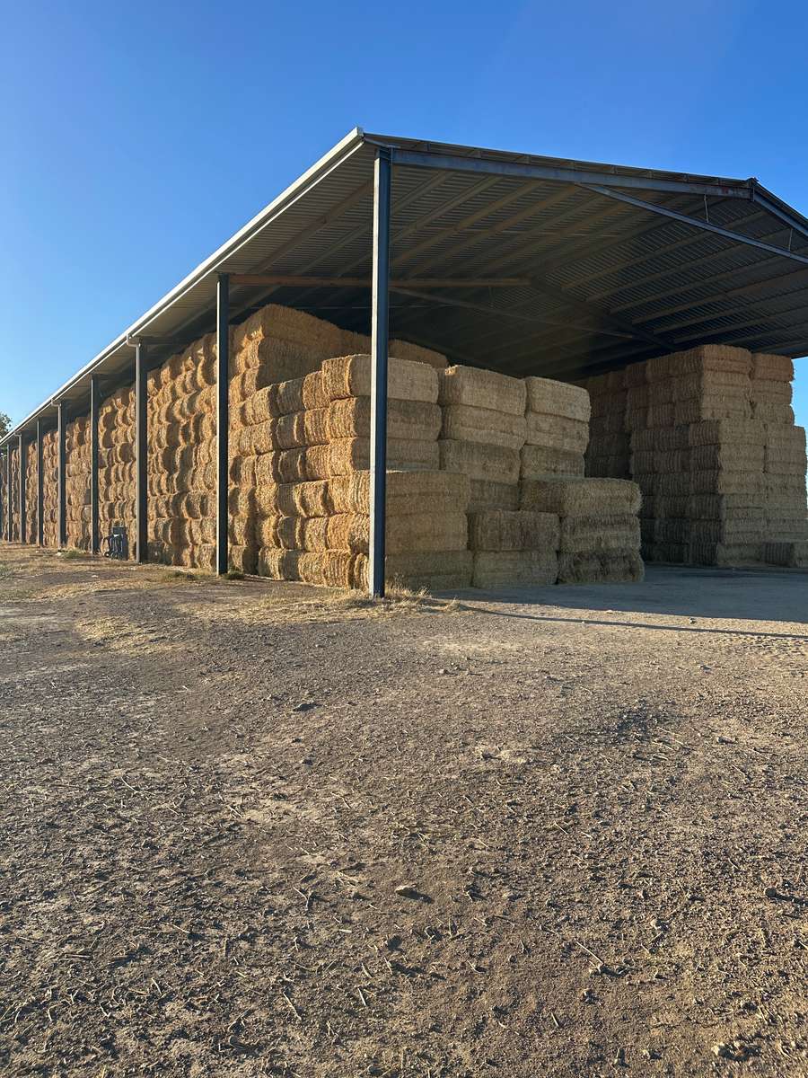 Batch 4990788000212741002 Image