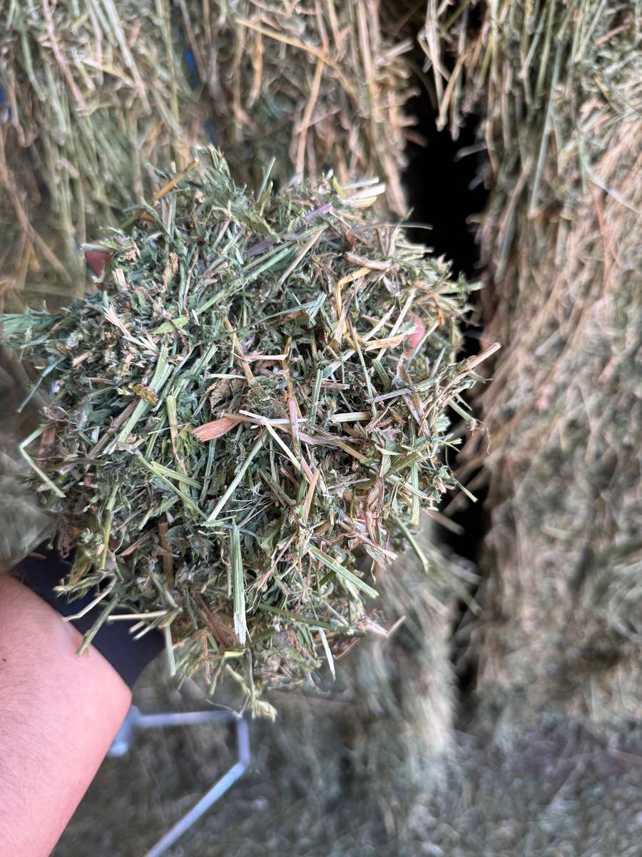 Batch 4990788000208715019 Image