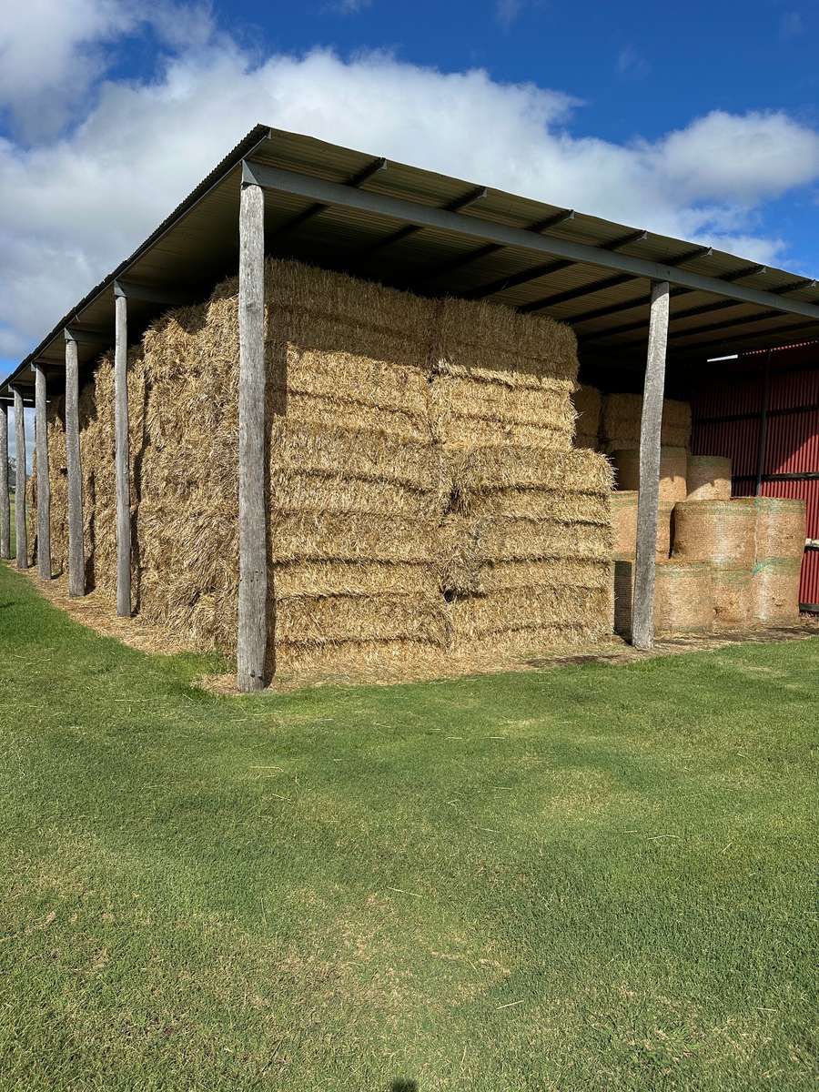 Batch 4990788000212134021 Image