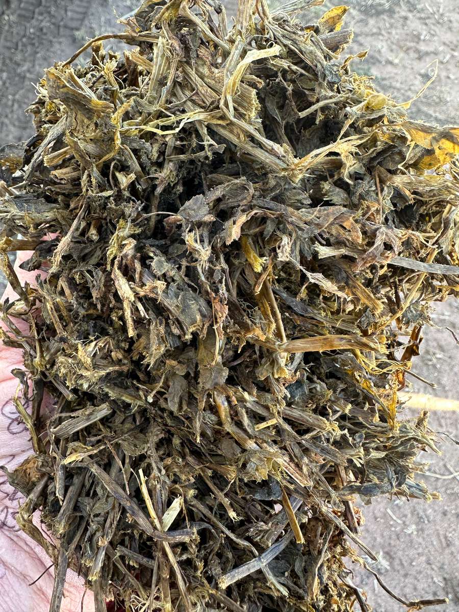 Batch 4990788000213156001 Image