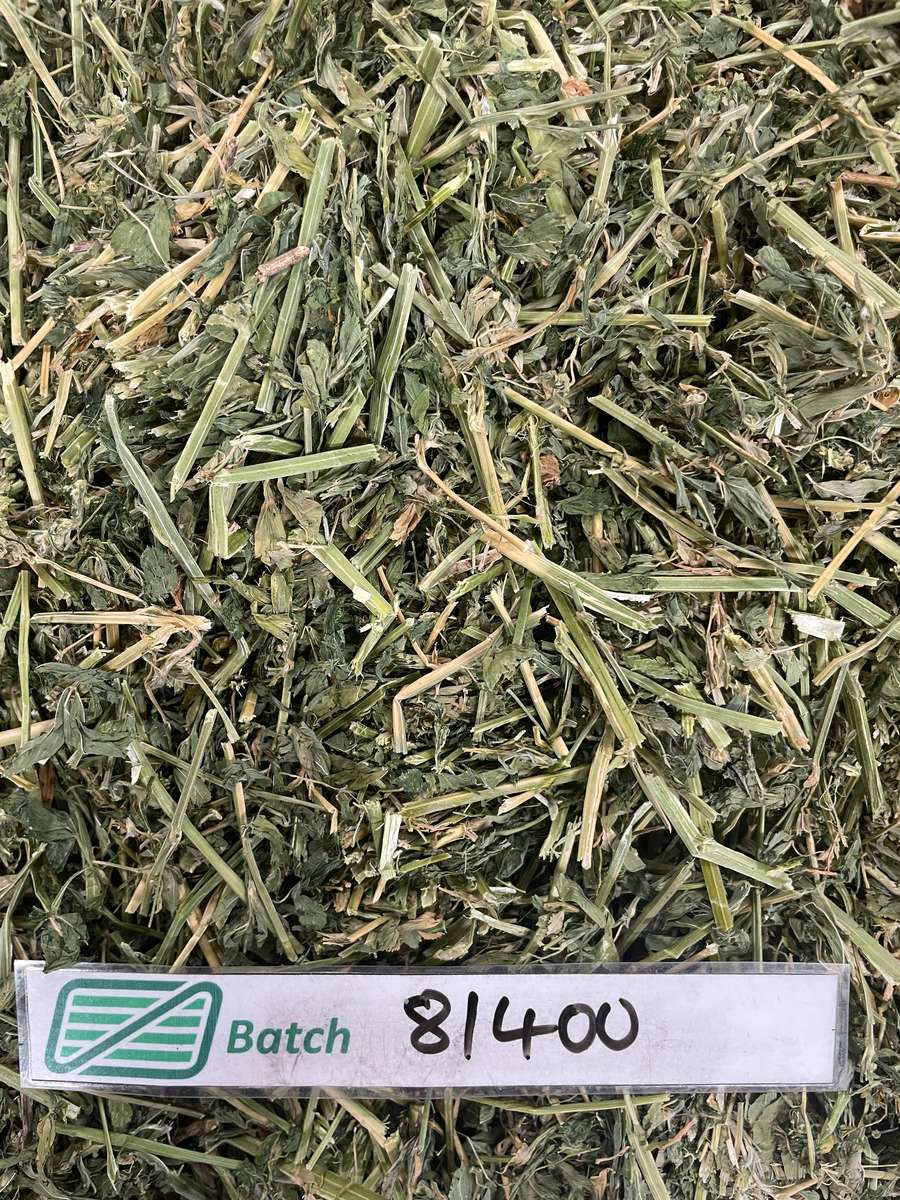 Batch 4990788000211578001 Image