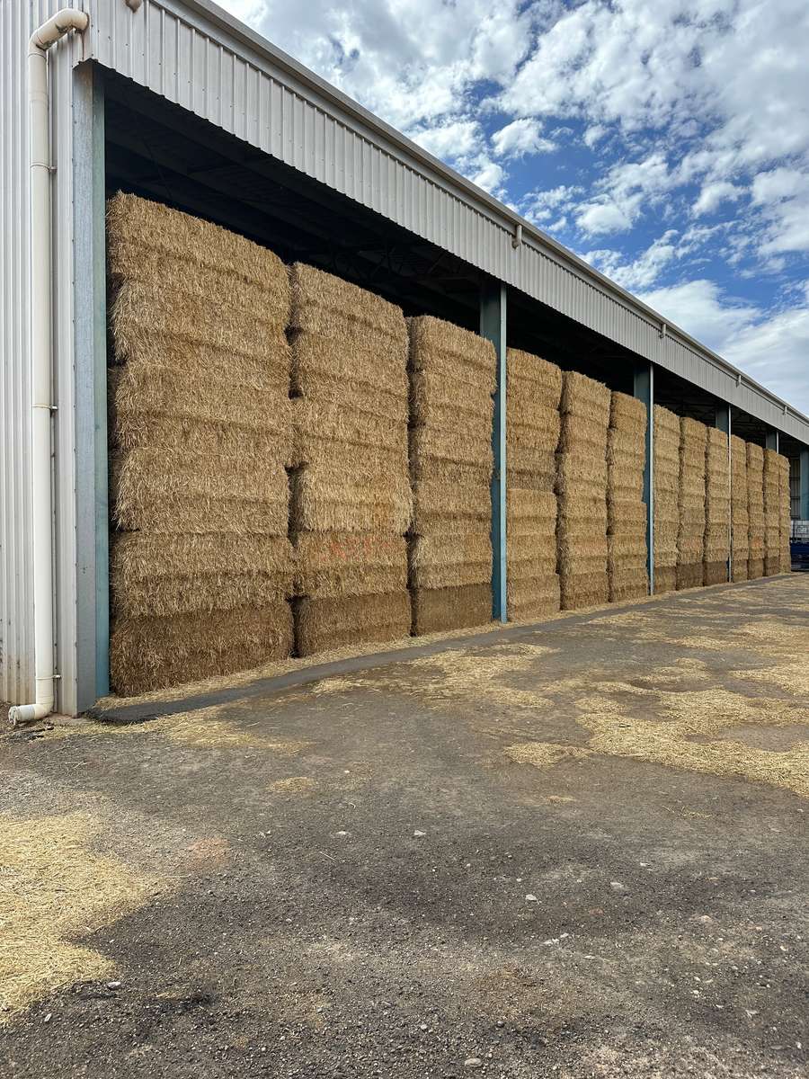 Batch 4990788000207853732 Image