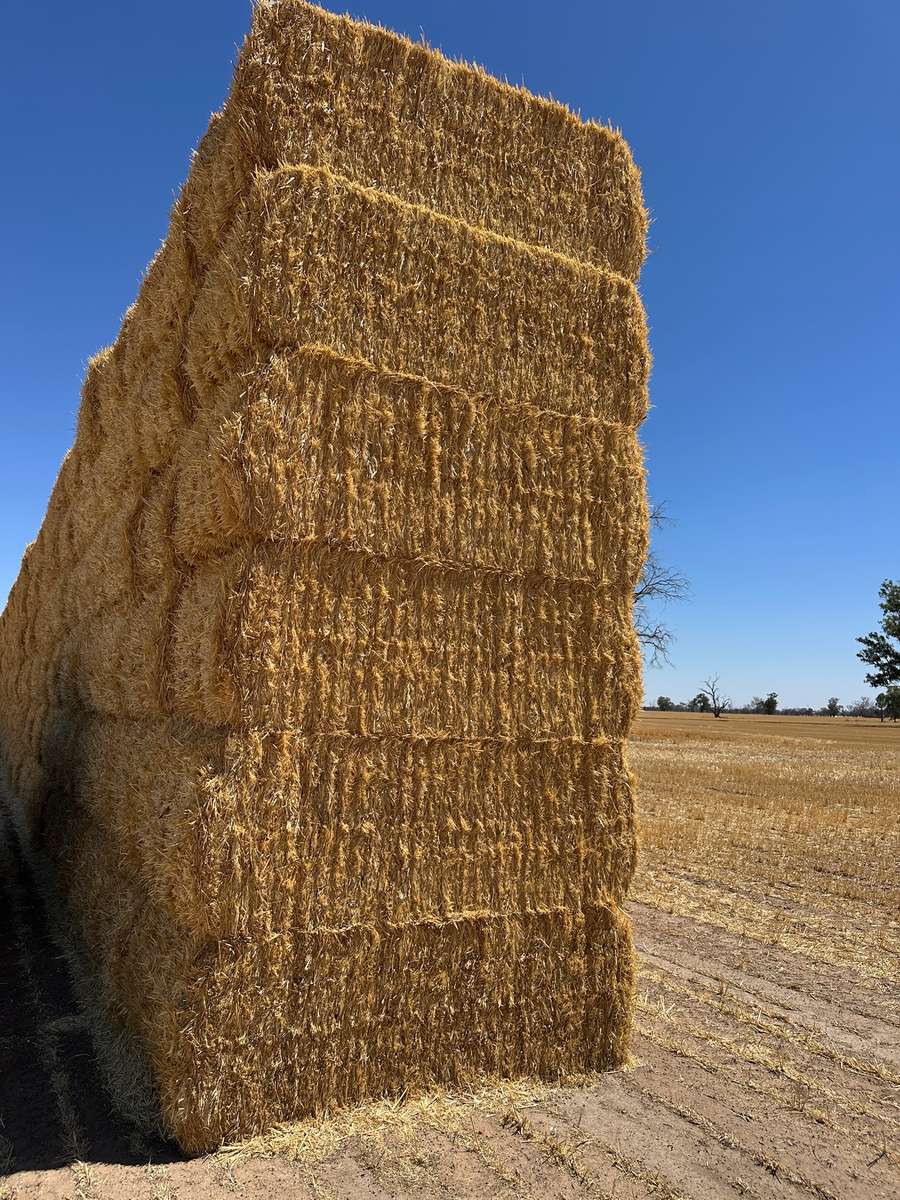 Batch 4990788000213052001 Image