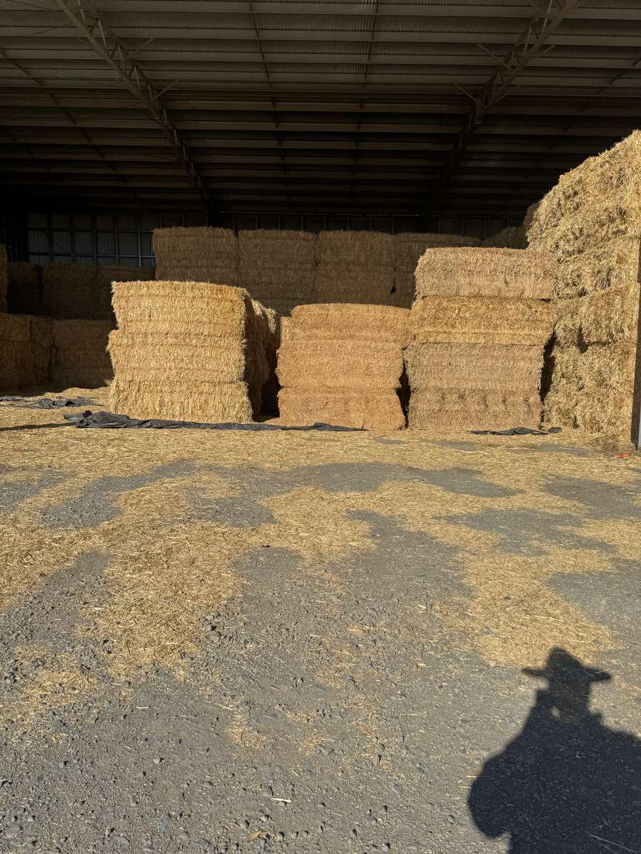 Batch 4990788000210038001 Image