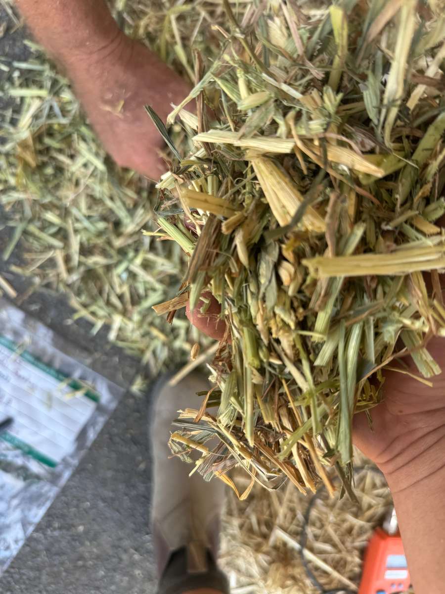 Batch 4990788000210137047 Image